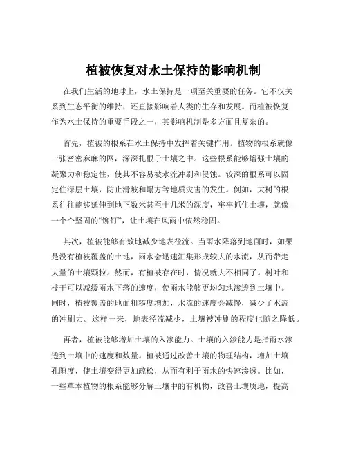 植被恢复对水土保持的影响机制