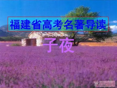 名著《子夜》