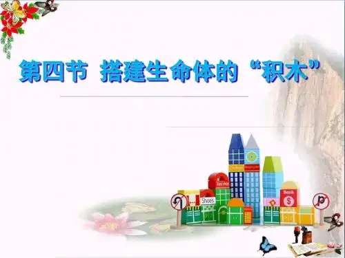 六年级科学上册搭建生命体的积木PPT课件1苏教版优秀