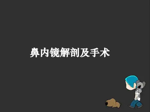 鼻内镜解剖及手术ppt课件