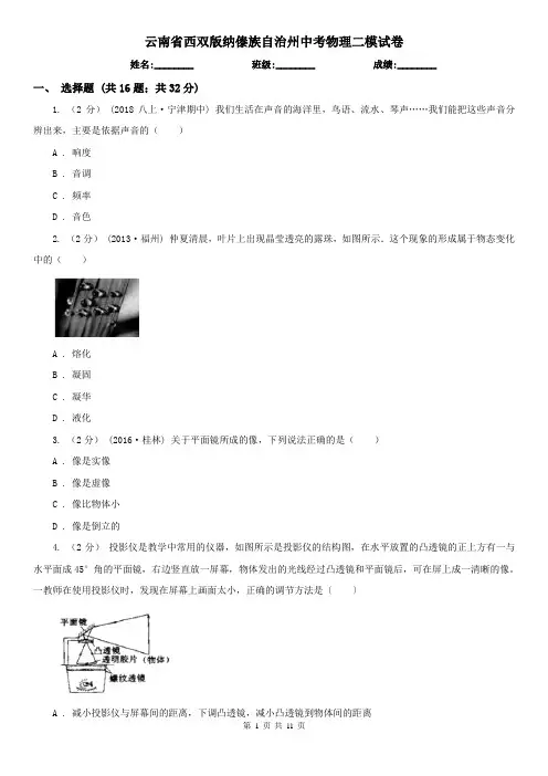 云南省西双版纳傣族自治州中考物理二模试卷