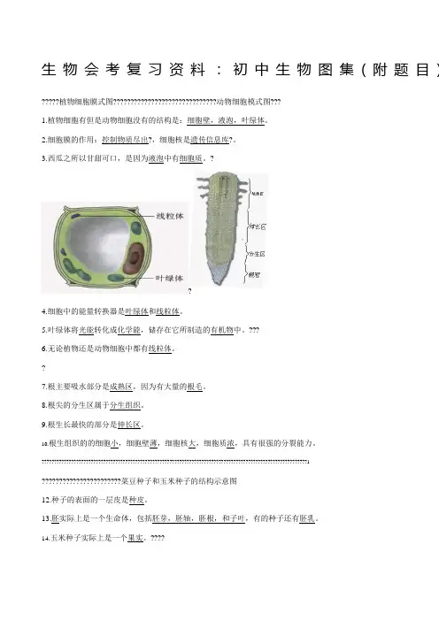 生物会考复习资料初中生物图集附题目人教版