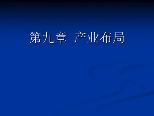产业经济学 产业布局