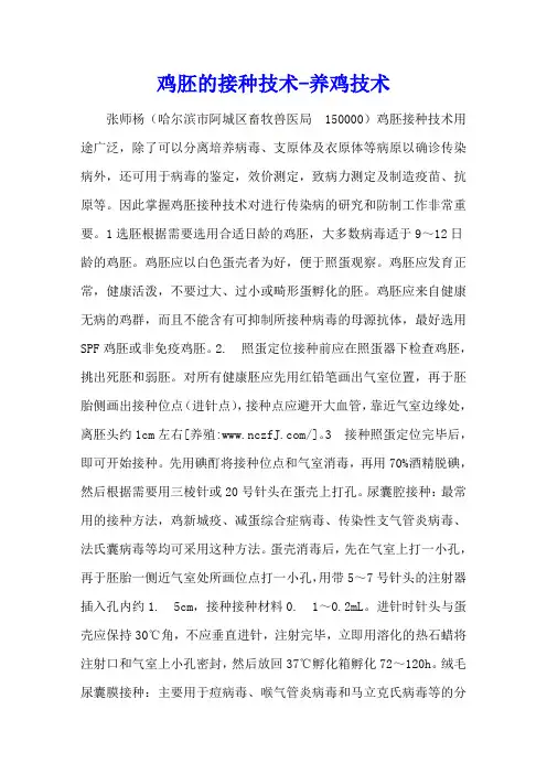鸡胚的接种技术 - 养鸡技术