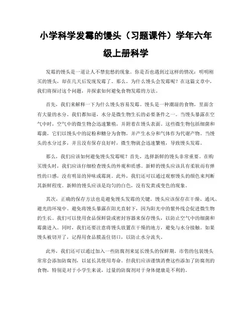小学科学发霉的馒头(习题课件)学年六年级上册科学