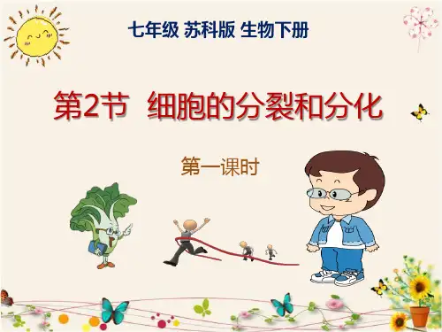 苏教版七年级生物(下册)细胞的分裂和分化