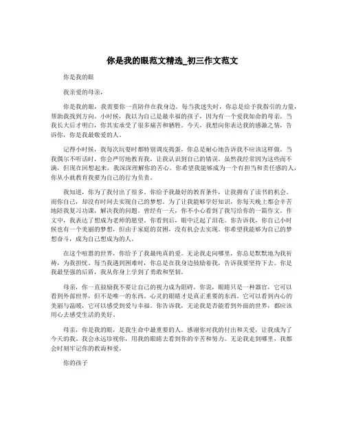 你是我的眼范文精选_初三作文范文