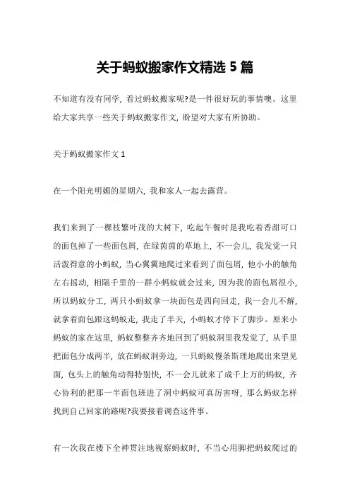 关于蚂蚁搬家作文精选5篇