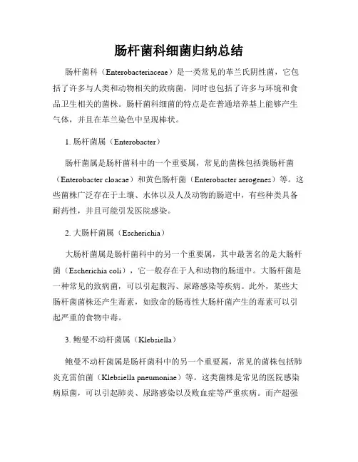 肠杆菌科细菌归纳总结