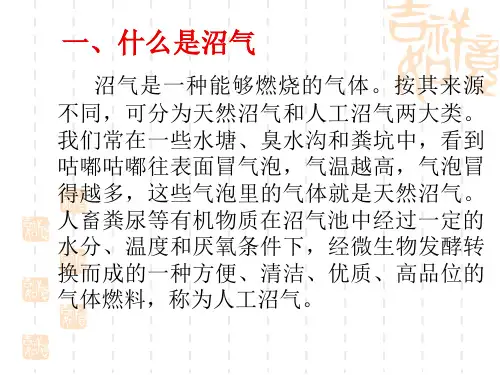 农村沼气利用技术