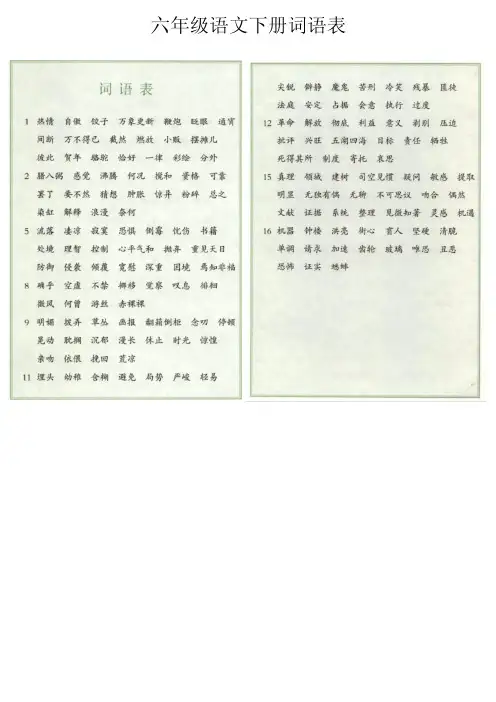 六年级下册,词语表