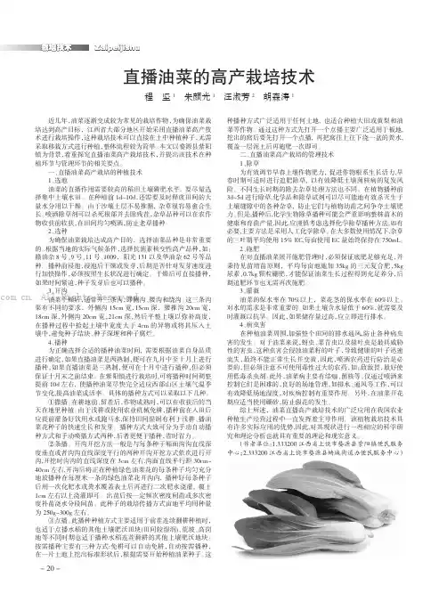直播油菜的高产栽培技术
