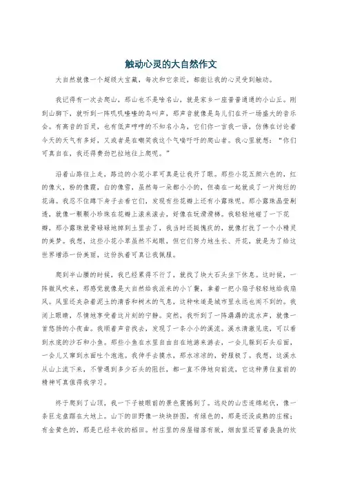 触动心灵的大自然作文