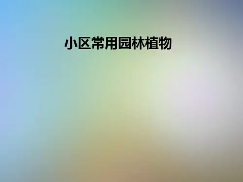 小区常用园林植物