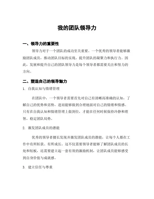 我的团队领导力