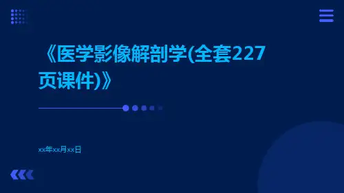 医学影像解剖学(全套227页课件)