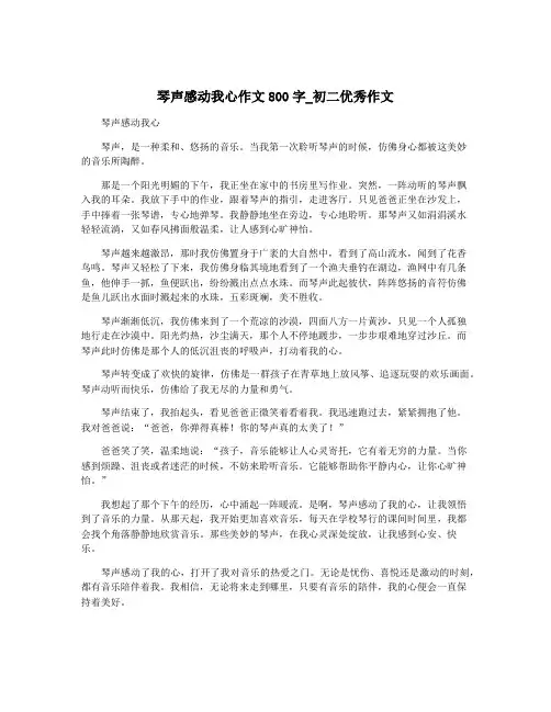 琴声感动我心作文800字_初二优秀作文