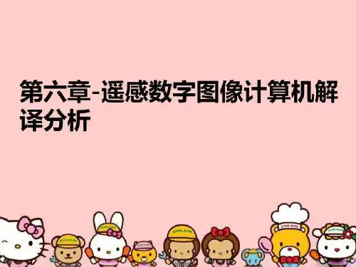 【精品】第六章-遥感数字图像计算机解译分析PPT课件