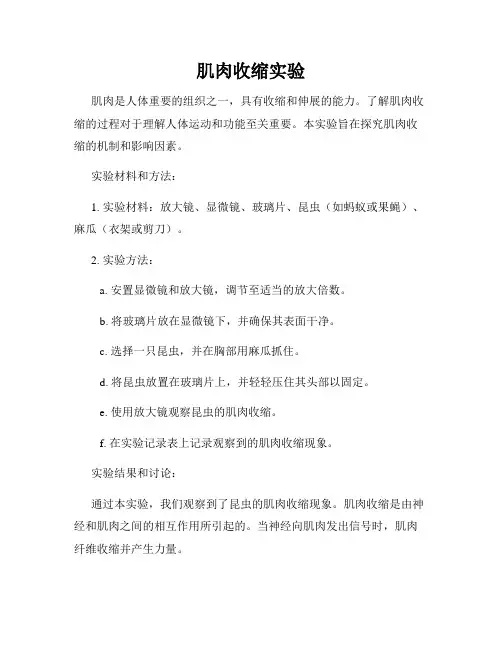 肌肉收缩实验