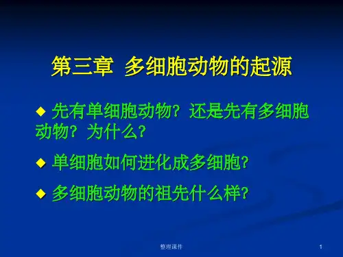 多细胞动物的起源(1)