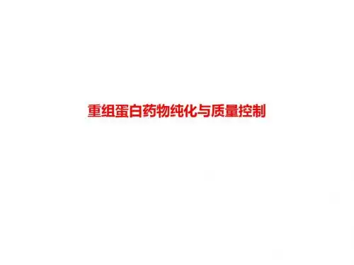 重组蛋白药物纯化与质量控制