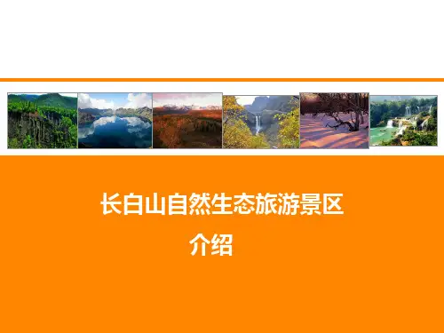 长白山自然生态旅游景区介绍ppt