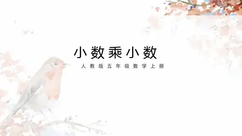 人教版五年级数学上册《小数乘小数》PPT课件