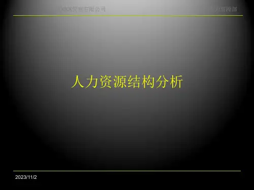 人力资源结构分析