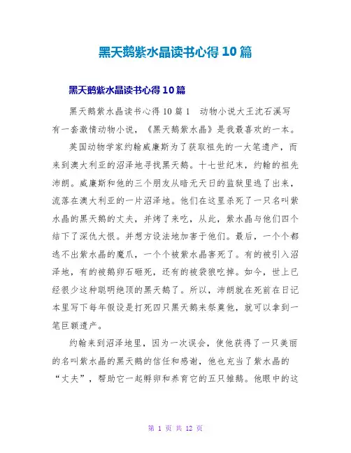 黑天鹅紫水晶读书心得10篇