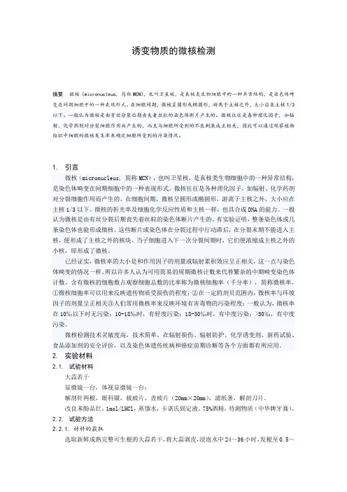 微核检测试验