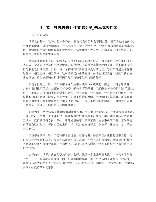 《一枝一叶总关情》作文800字_初三优秀作文