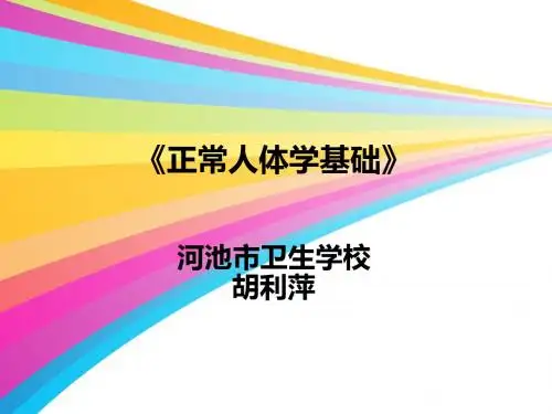 正常人体学2-ppt课件