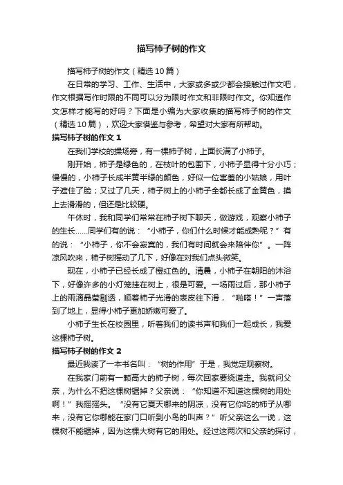 描写柿子树的作文（精选10篇）