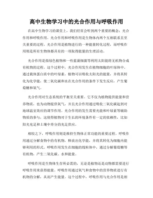 高中生物学习中的光合作用与呼吸作用