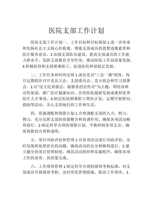 医院支部工作计划