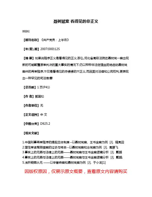 聂树斌案 看得见的非正义