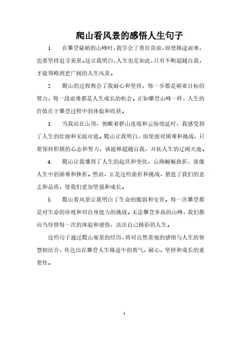 爬山看风景的感悟人生句子