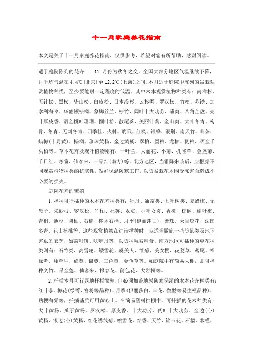 十一月家庭养花指南
