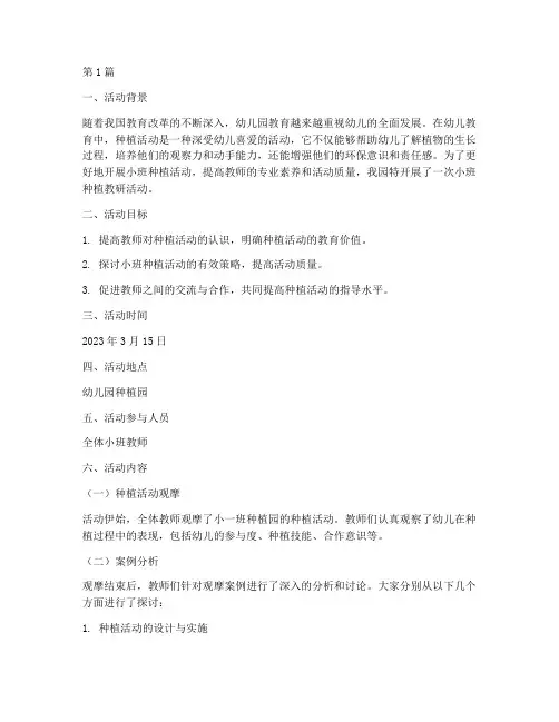 小班种植教研活动(3篇)