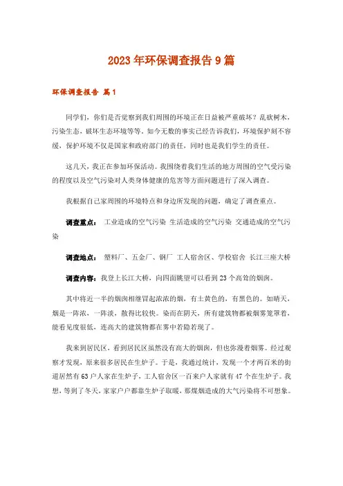 2023年环保调查报告9篇