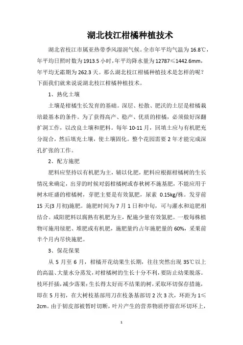 湖北枝江柑橘种植技术