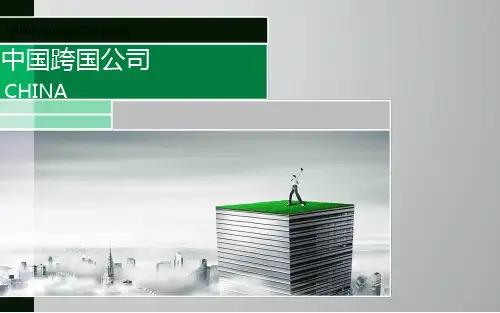 中国跨国公司