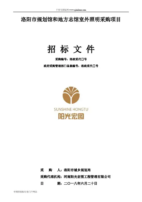 规划馆和地方志馆室外照明采购项目的结果招投标书范本