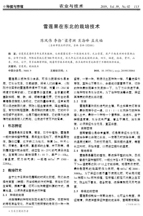 雪莲果在东北的栽培技术