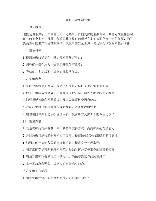 顶板专项整治方案