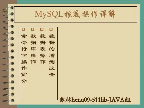 MySql基础操作详解ppt课件