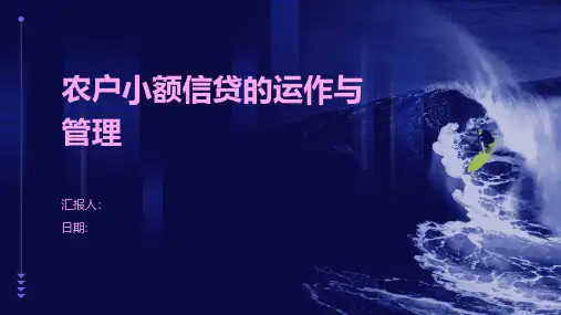 农户小额信贷的运作与管理