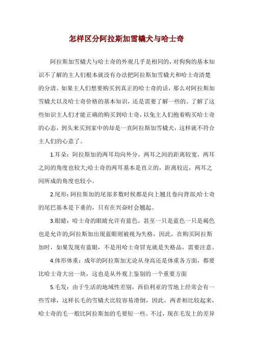 怎样区分阿拉斯加雪橇犬与哈士奇