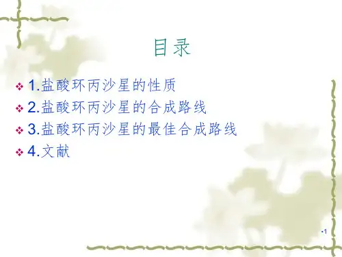 盐酸环丙沙星合成PPT演示课件