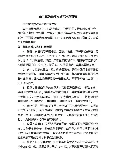 白兰花的养殖方法和注意事项